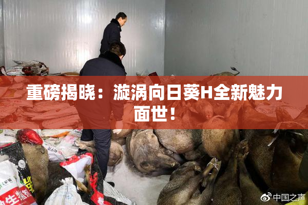 重磅揭晓：漩涡向日葵H全新魅力面世！