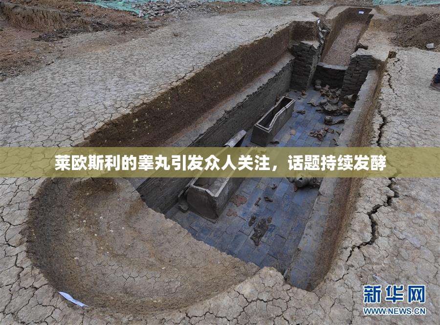 莱欧斯利的睾丸引发众人关注，话题持续发酵