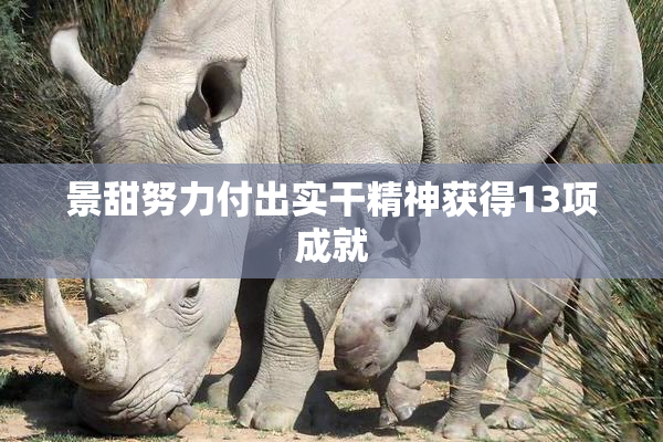 景甜努力付出实干精神获得13项成就