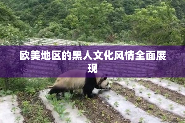 欧美地区的黑人文化风情全面展现