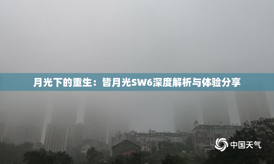 月光下的重生：皆月光SW6深度解析与体验分享