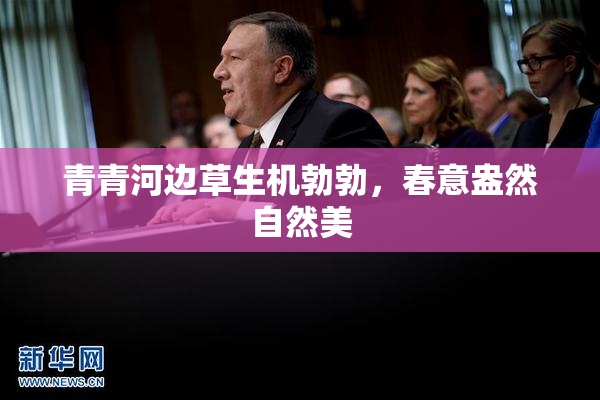 青青河边草生机勃勃，春意盎然自然美