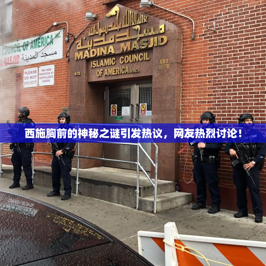 西施胸前的神秘之谜引发热议，网友热烈讨论！