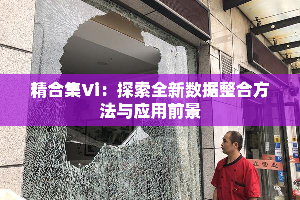 精合集Vi：探索全新数据整合方法与应用前景
