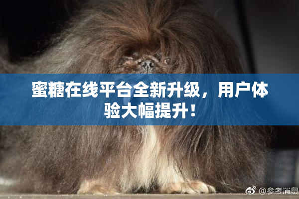 蜜糖在线平台全新升级，用户体验大幅提升！