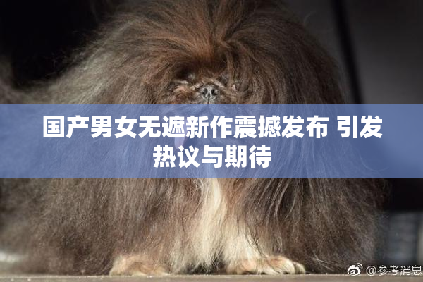 国产男女无遮新作震撼发布 引发热议与期待