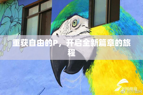 重获自由的P，开启全新篇章的旅程