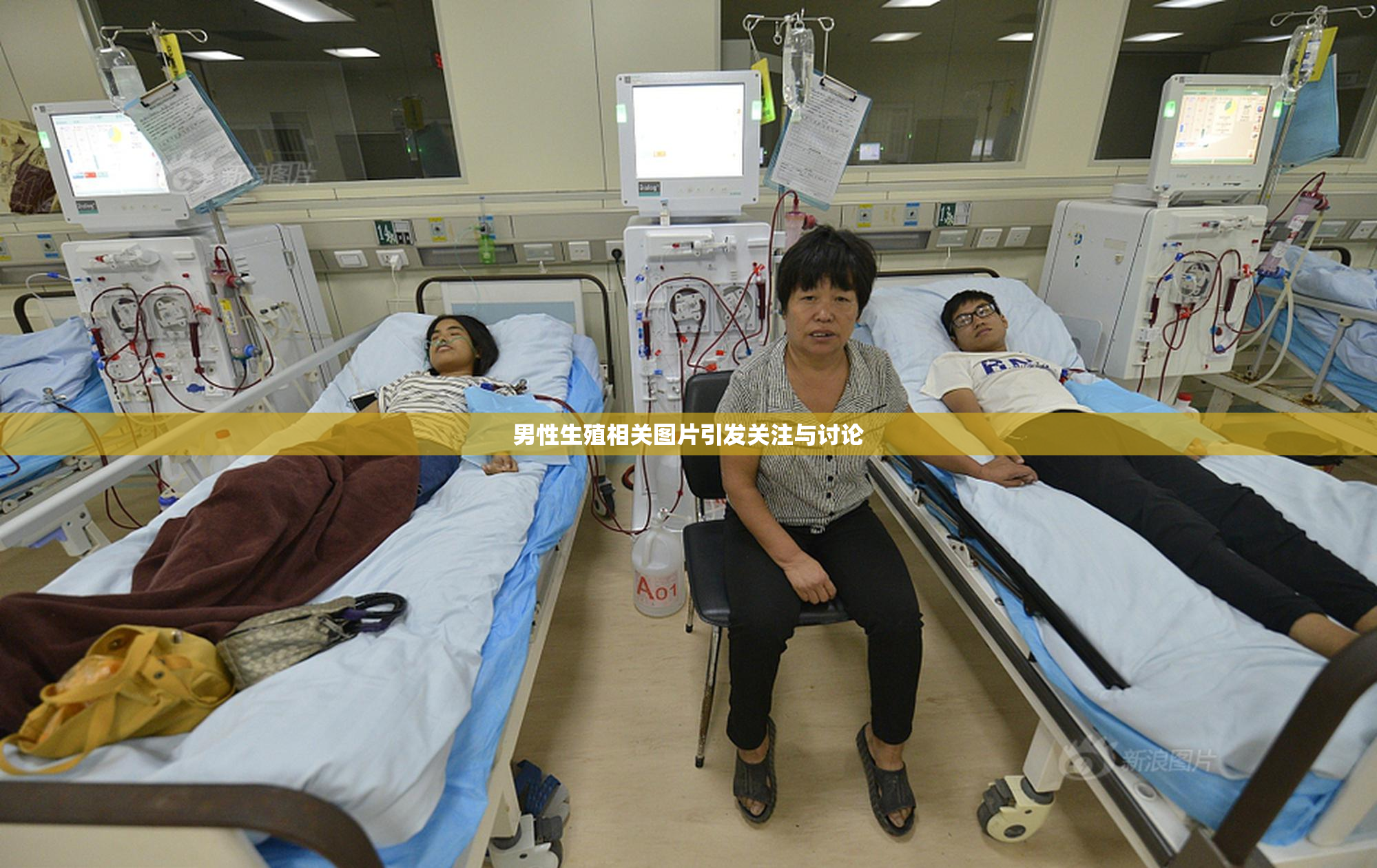 男性生殖相关图片引发关注与讨论