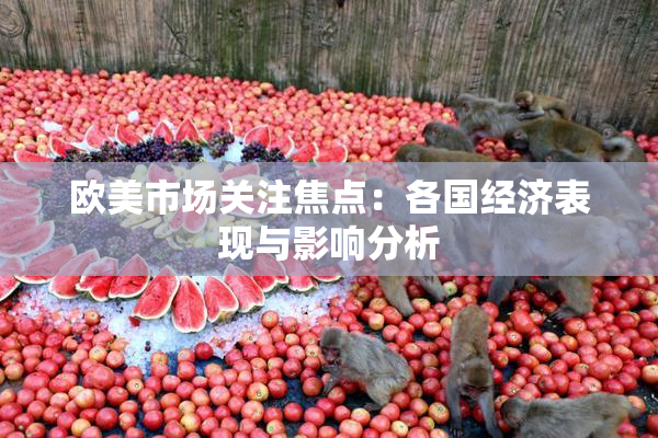 欧美市场关注焦点：各国经济表现与影响分析