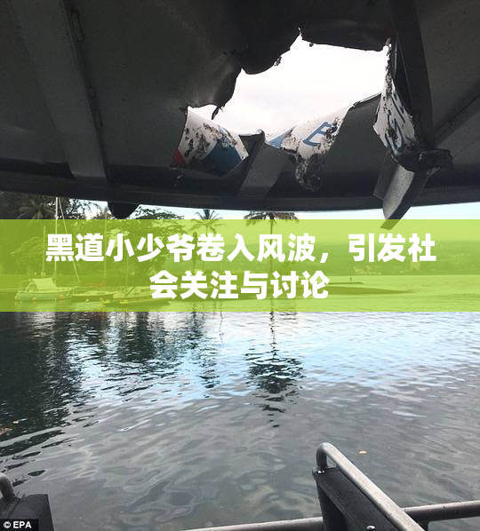 黑道小少爷卷入风波，引发社会关注与讨论