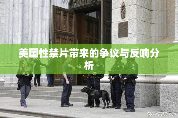 美国性禁片带来的争议与反响分析