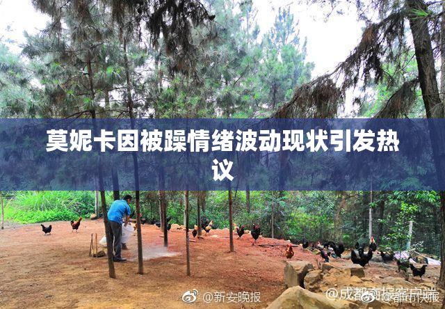 莫妮卡因被躁情绪波动现状引发热议