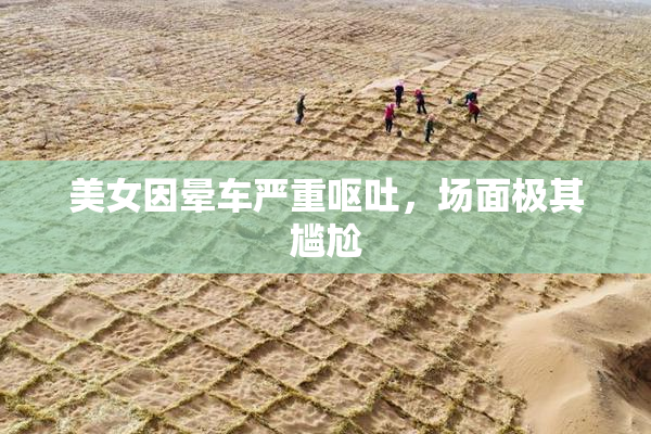 美女因晕车严重呕吐，场面极其尴尬
