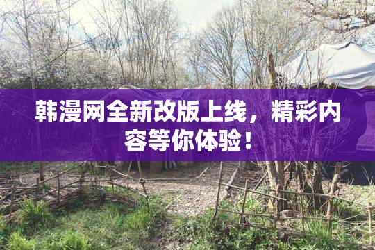 韩漫网全新改版上线，精彩内容等你体验！