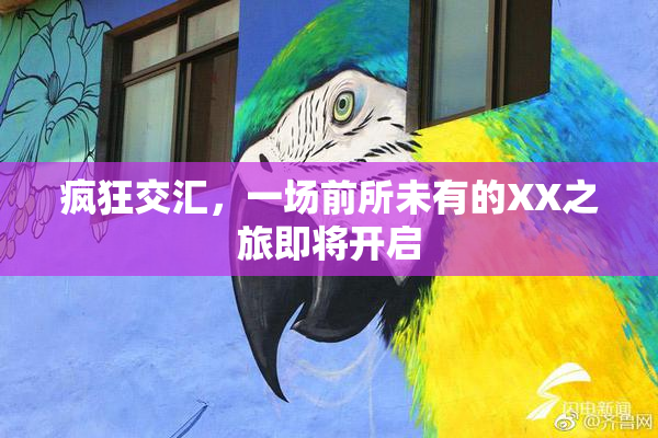 疯狂交汇，一场前所未有的XX之旅即将开启