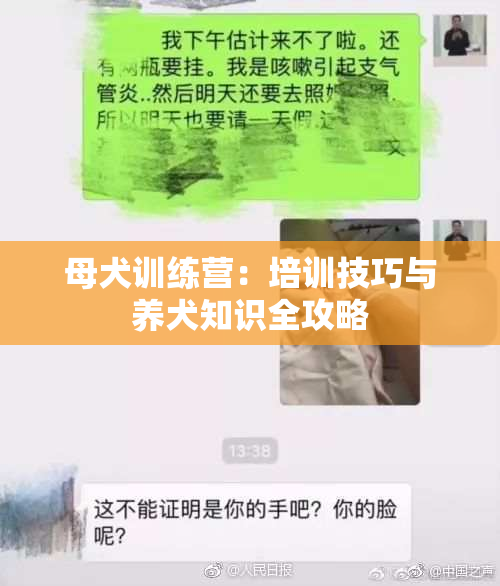 母犬训练营：培训技巧与养犬知识全攻略
