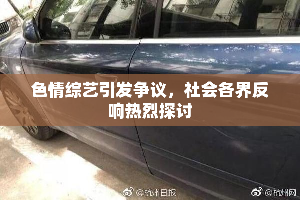 色情综艺引发争议，社会各界反响热烈探讨