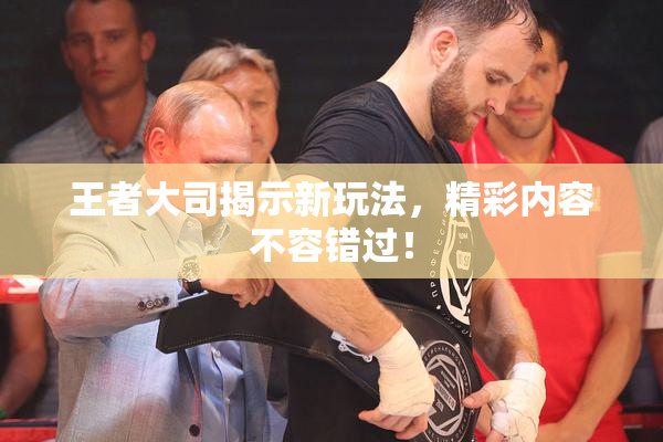 王者大司揭示新玩法，精彩内容不容错过！