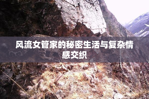 风流女管家的秘密生活与复杂情感交织