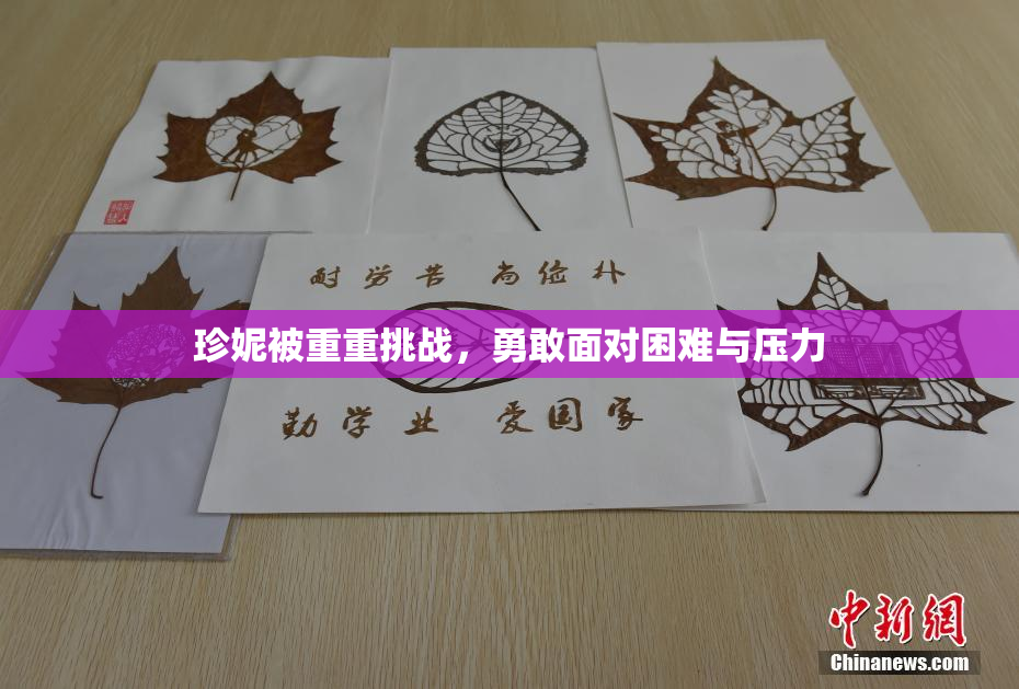 珍妮被重重挑战，勇敢面对困难与压力