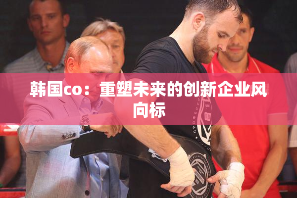 韩国co：重塑未来的创新企业风向标