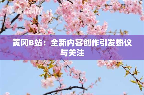 黄冈B站：全新内容创作引发热议与关注