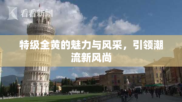 特级全黄的魅力与风采，引领潮流新风尚