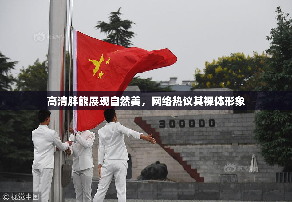 高清胖熊展现自然美，网络热议其裸体形象