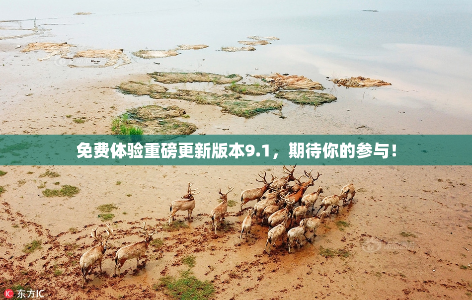 免费体验重磅更新版本9.1，期待你的参与！