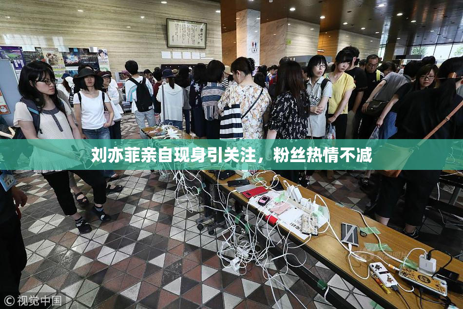 刘亦菲亲自现身引关注，粉丝热情不减