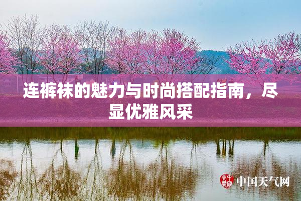连裤袜的魅力与时尚搭配指南，尽显优雅风采