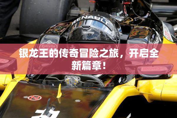 银龙王的传奇冒险之旅，开启全新篇章！