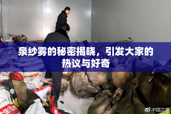泉纱雾的秘密揭晓，引发大家的热议与好奇