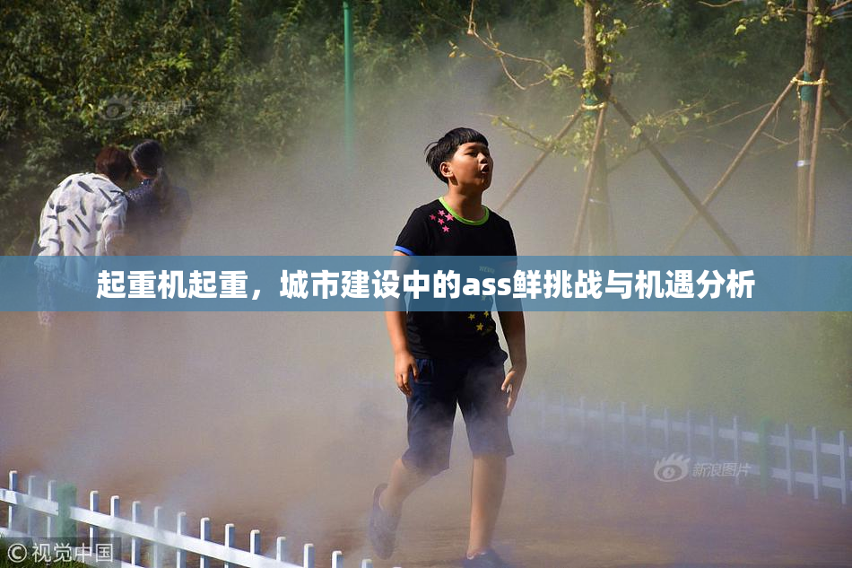 起重机起重，城市建设中的ass鲜挑战与机遇分析