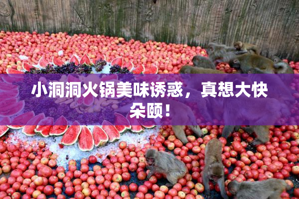 小洞洞火锅美味诱惑，真想大快朵颐！