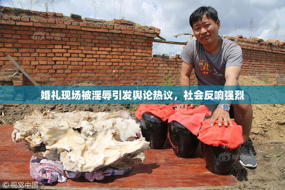 婚礼现场被淫辱引发舆论热议，社会反响强烈