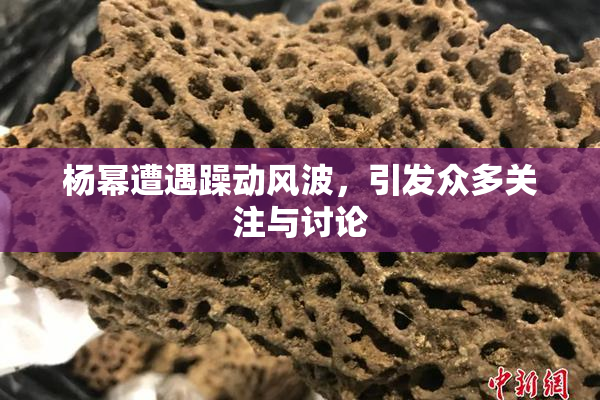 杨幂遭遇躁动风波，引发众多关注与讨论