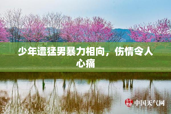 少年遭猛男暴力相向，伤情令人心痛