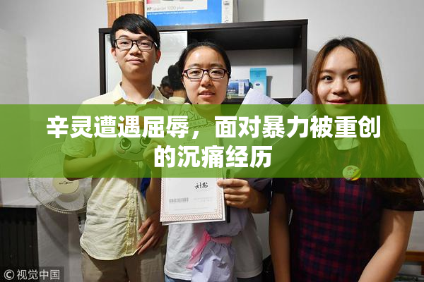 辛灵遭遇屈辱，面对暴力被重创的沉痛经历