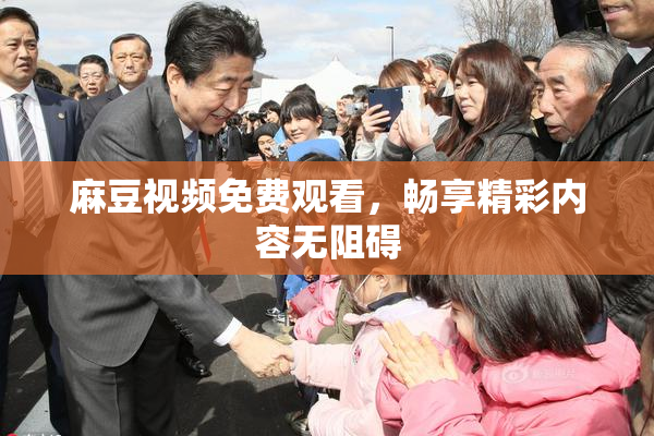 麻豆视频免费观看，畅享精彩内容无阻碍