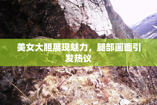 美女大胆展现魅力，腿部画面引发热议