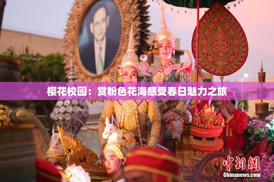 樱花校园：赏粉色花海感受春日魅力之旅