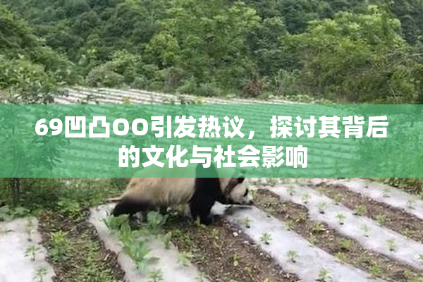 69凹凸OO引发热议，探讨其背后的文化与社会影响