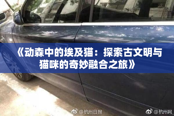 《动森中的埃及猫：探索古文明与猫咪的奇妙融合之旅》