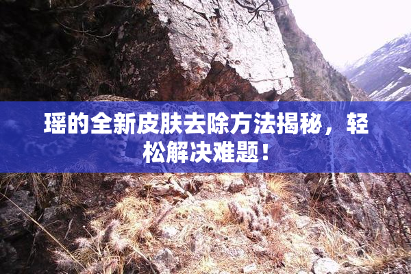 瑶的全新皮肤去除方法揭秘，轻松解决难题！