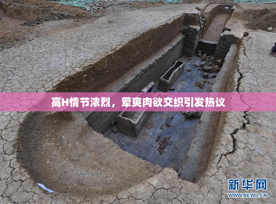 高H情节浓烈，荤爽肉欲交织引发热议