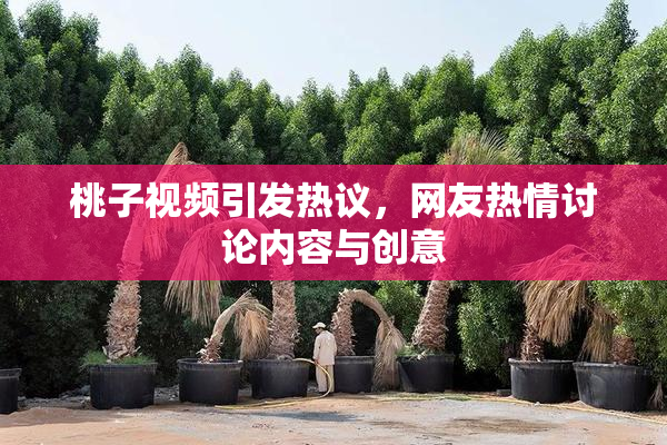 桃子视频引发热议，网友热情讨论内容与创意