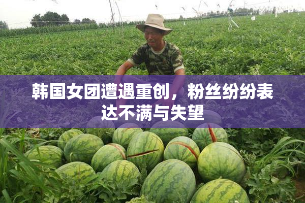 韩国女团遭遇重创，粉丝纷纷表达不满与失望