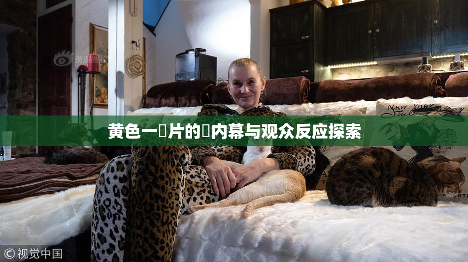 黄色一級片的黃内幕与观众反应探索
