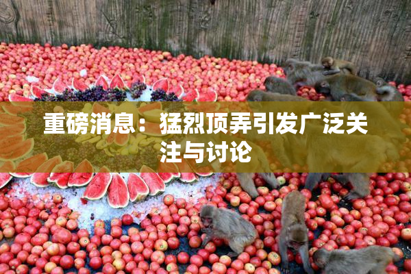 重磅消息：猛烈顶弄引发广泛关注与讨论